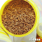 Tropical 德比克 GAMMARUS高蛋白乾蝦飼料（2...