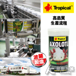 Tropical 德比克 六角恐龍/兩棲 紅椒飼料（250m...