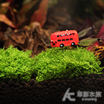 珊瑚莫絲鐵片（4x4cm）