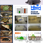 Hikari 高夠力 第三代 飼育教材 烏龜飼料（大顆粒/2...
