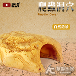 爬蟲躲避洞穴