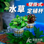 魚菜共生 水耕定植籃（圓形）