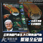 鬥魚繁殖紀錄