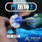 訓練鬥魚 鬥魚棒（藍色）