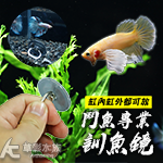 鬥魚 訓練鏡（戒指圓形）