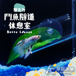 鬥魚隧道 休息室（綠色）