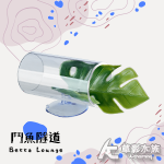 鬥魚隧道 休息室（龜背芋）