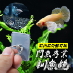 鬥魚 訓練鏡（戒指長方形）
