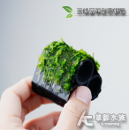 三條豪華默思蝦屋