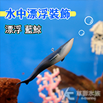 漂浮 藍鯨