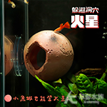 躲避洞穴 火星