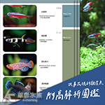 水都物語4