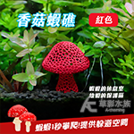 香菇蝦礁（紅色）